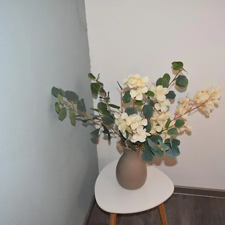 Appartement Carlo